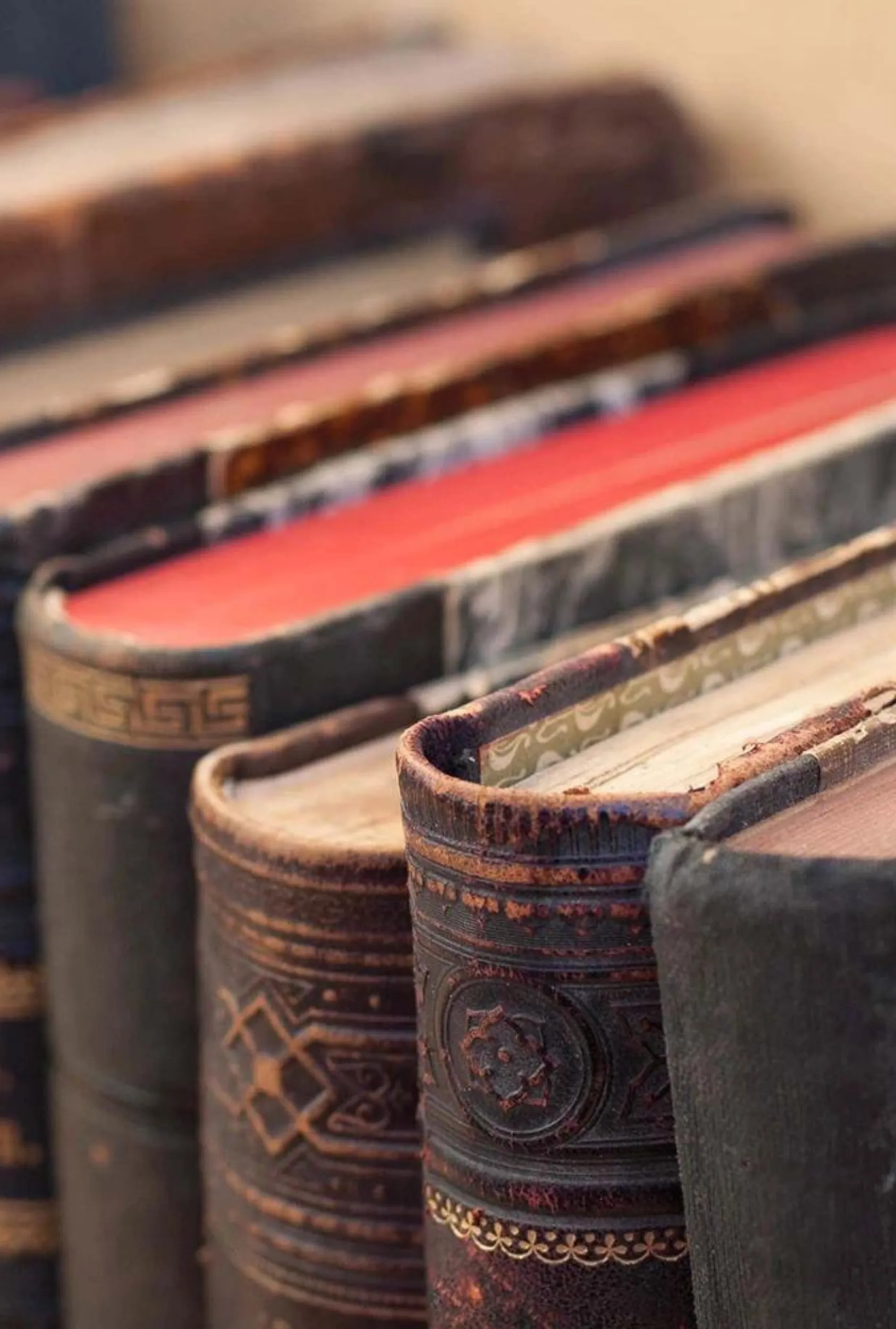 Aged Books: Teakwood   Leather   Dark Musk