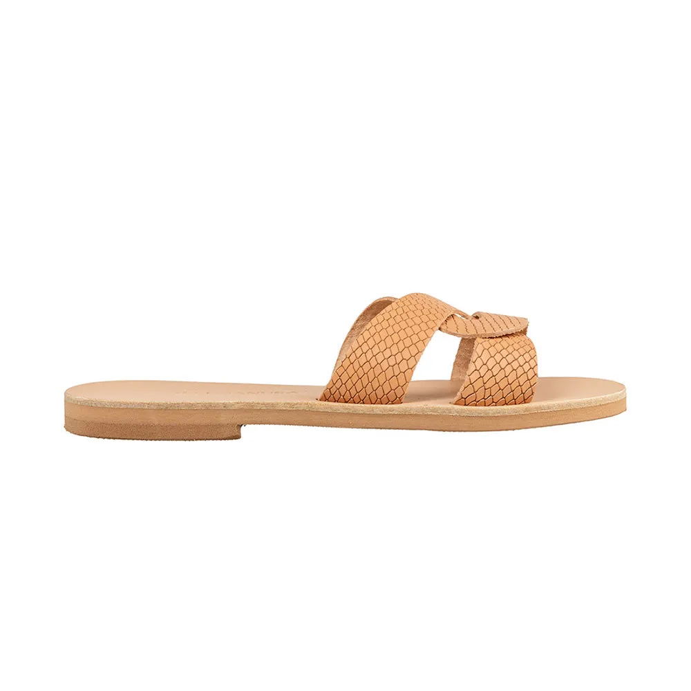 Ammos-Koufonisia || Natural Croc