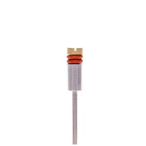 Erica's Mandrel #1
