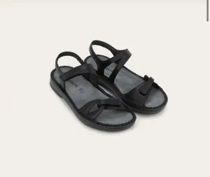 Evora | Black
