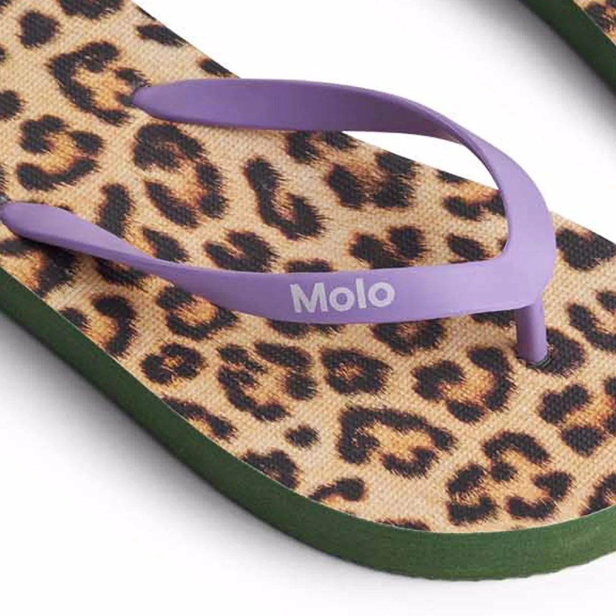 Flip flops Zeppo Allover Leo