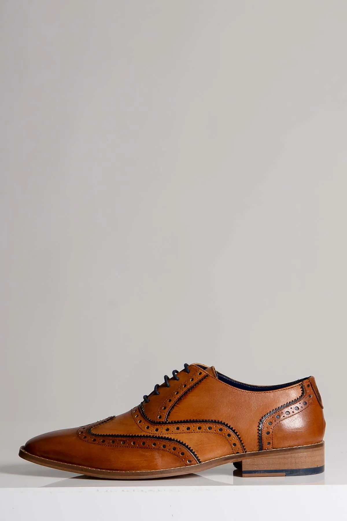 Marc Darcy Marco Wingtip Oxford Brogue Shoe Dark Tan