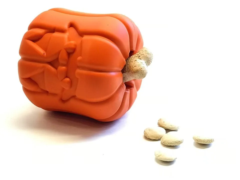 MKB Jack O' Lantern Treat Dispenser & Chew Toy
