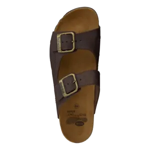 Moldava WG AD Dark Brown