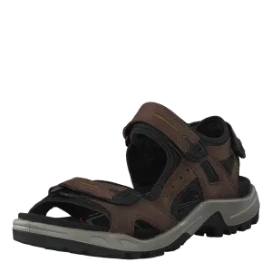 Offroad Espresso/ Cocoa Brown/ Black