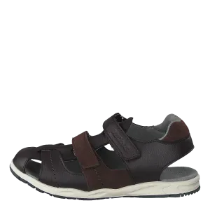 Oscar Dark Brown/brown