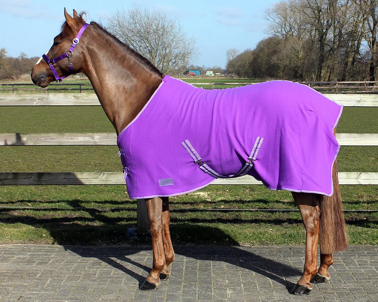 Personalised Equestrian Horse Pony Fleece Rug Cooler- Magical Style