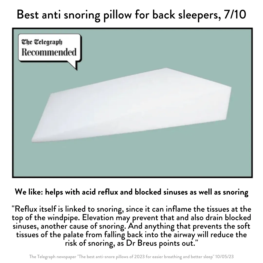 Putnams Acid Reflux Bed Wedge