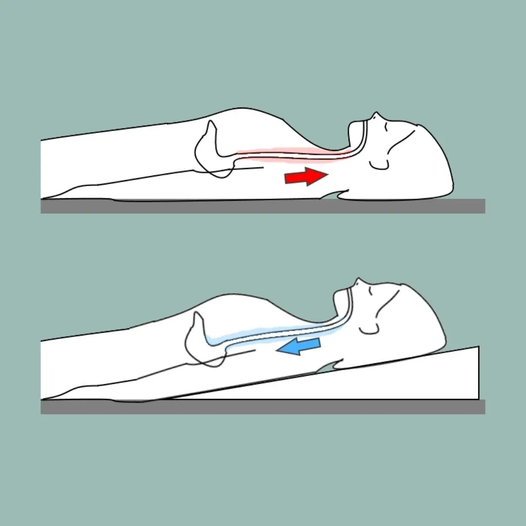 Putnams Acid Reflux Bed Wedge