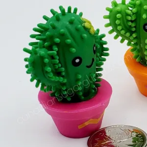 Spiky Cactus
