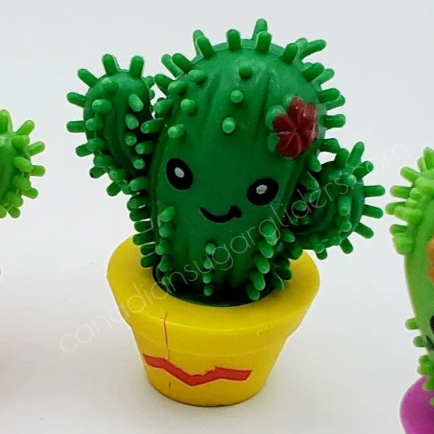 Spiky Cactus