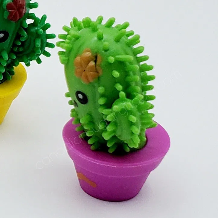 Spiky Cactus