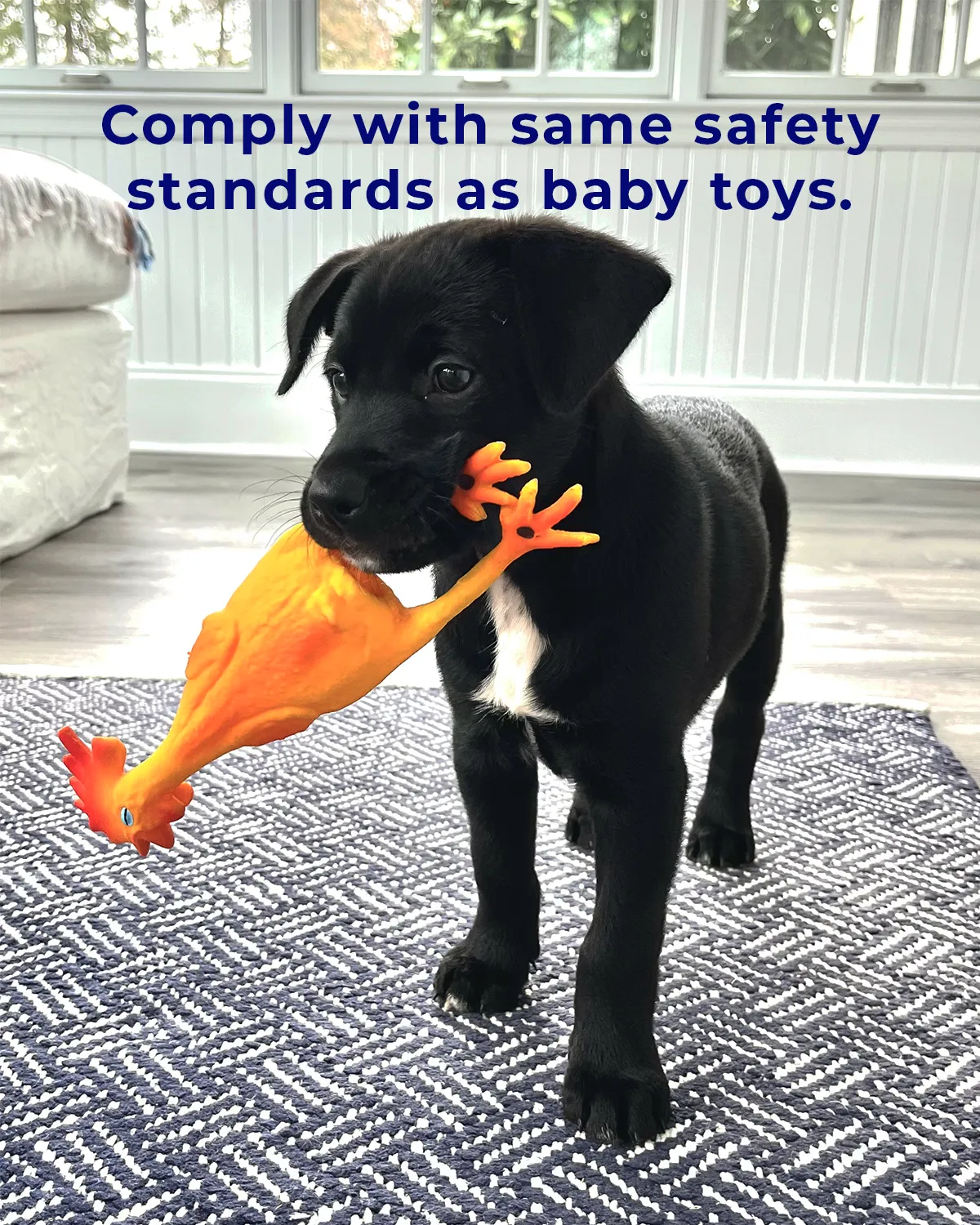 Squeaky Classic Rubber Chicken Dog Toy -  3 Sizes