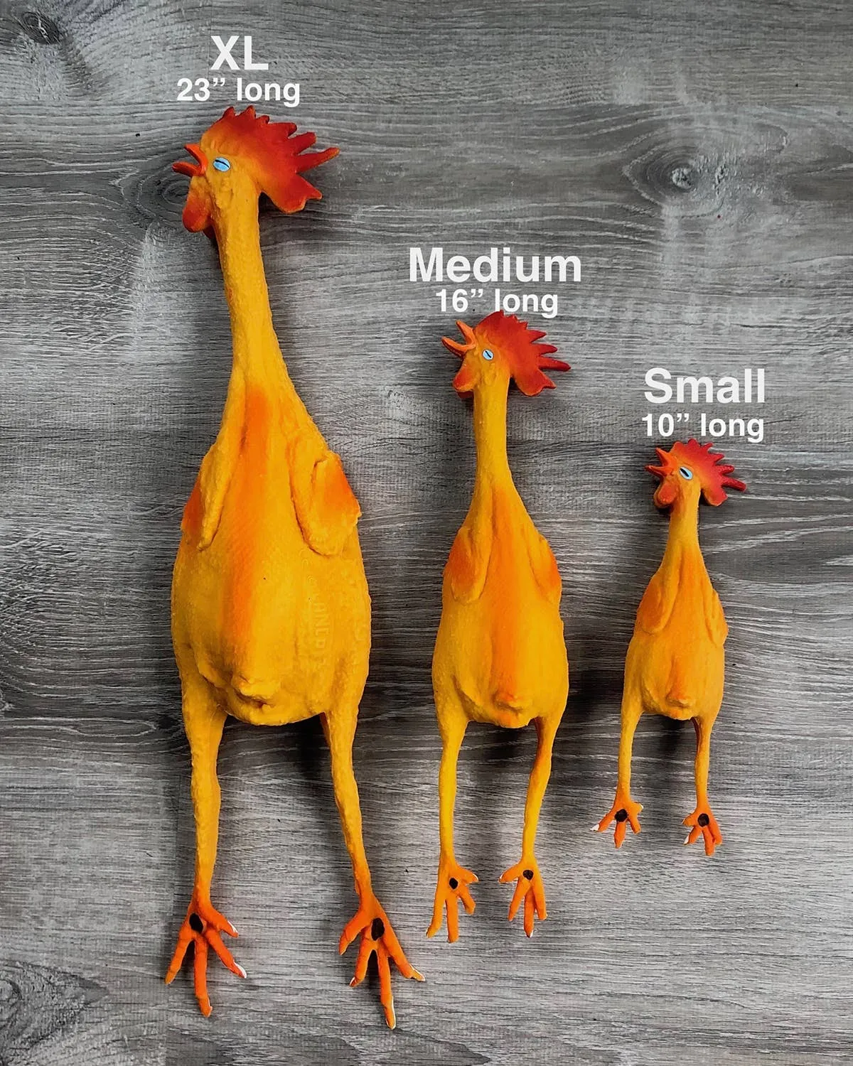 Squeaky Classic Rubber Chicken Dog Toy -  3 Sizes